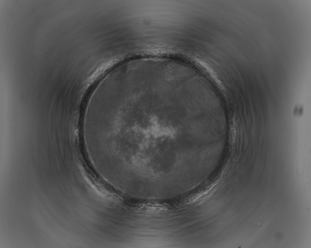 X0000090730443200708031527