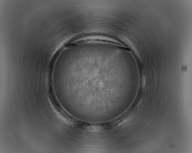 X0000090730444200708031527