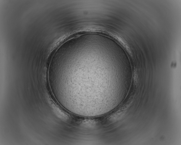 X0000090730445200708031527