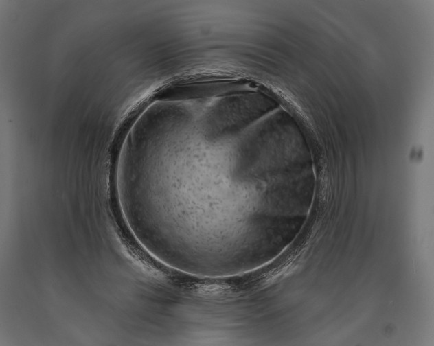 X0000090730446200708031527