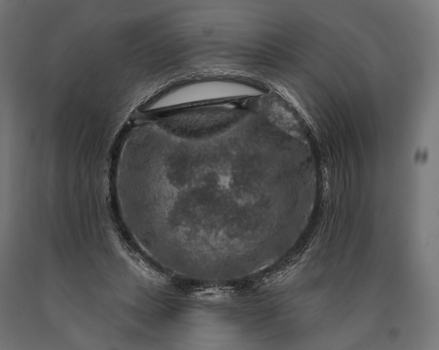 X0000090730447200708031527