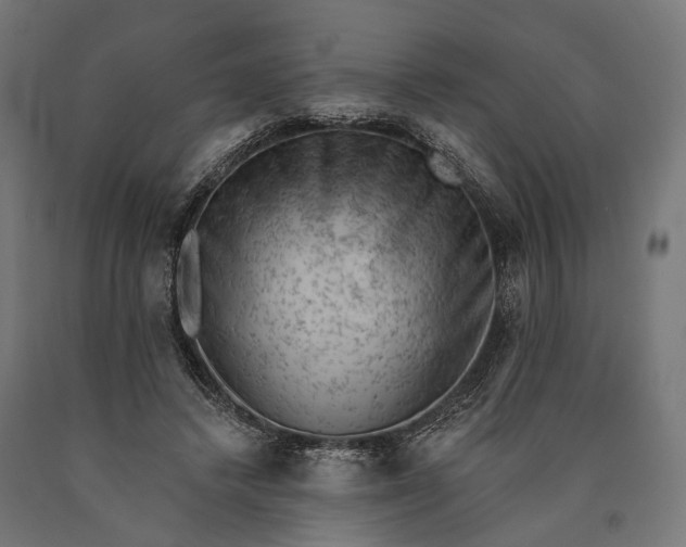 X0000090730448200708031527