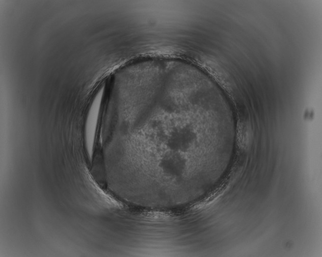 X0000090730449200708031527