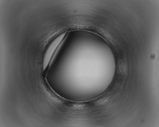 X0000090730450200708031527