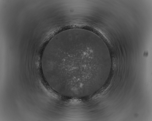 X0000090730451200708031527