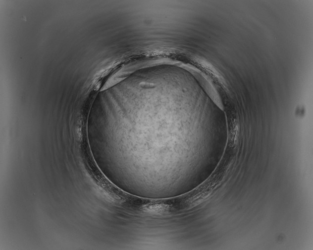 X0000090730452200708031527