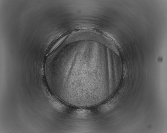 X0000090730453200708031527