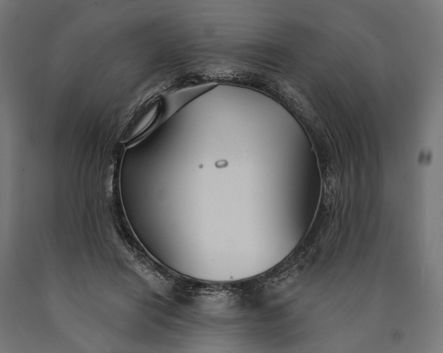 X0000090730454200708031527