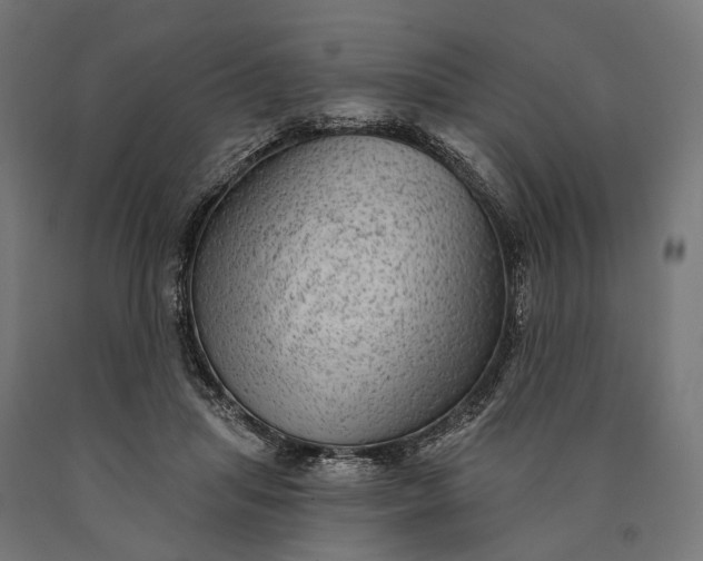 X0000090730455200708031527