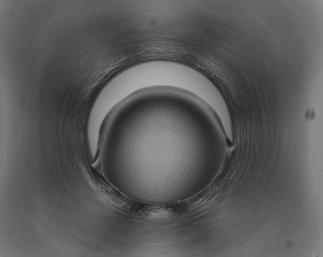 X0000090730456200708031527