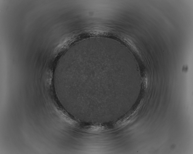 X0000090730458200708031527