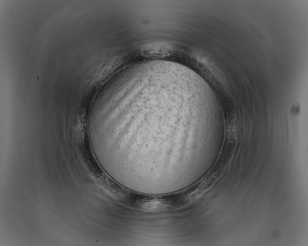 X0000090730460200708031527