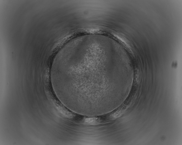 X0000090730461200708031527