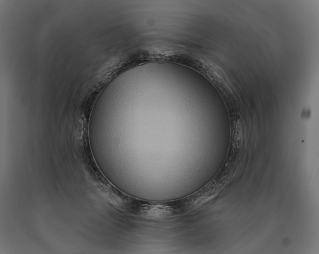 X0000090730463200708031527