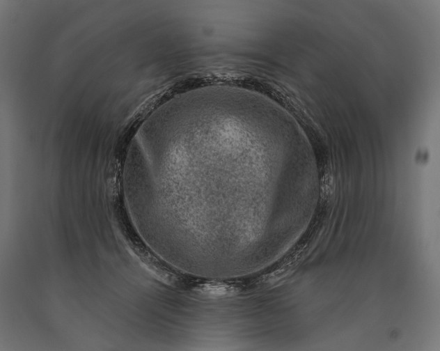 X0000090730464200708031527