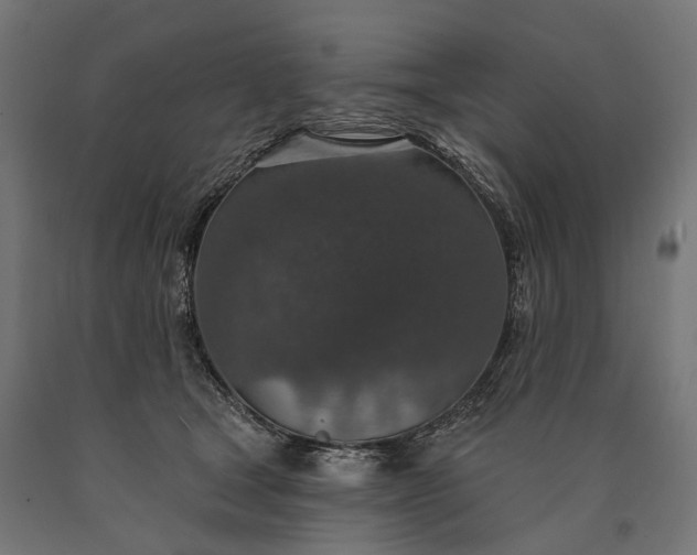 X0000090730465200708031527