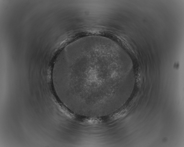 X0000090730466200708031527