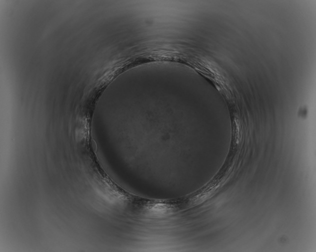 X0000090730467200708031527