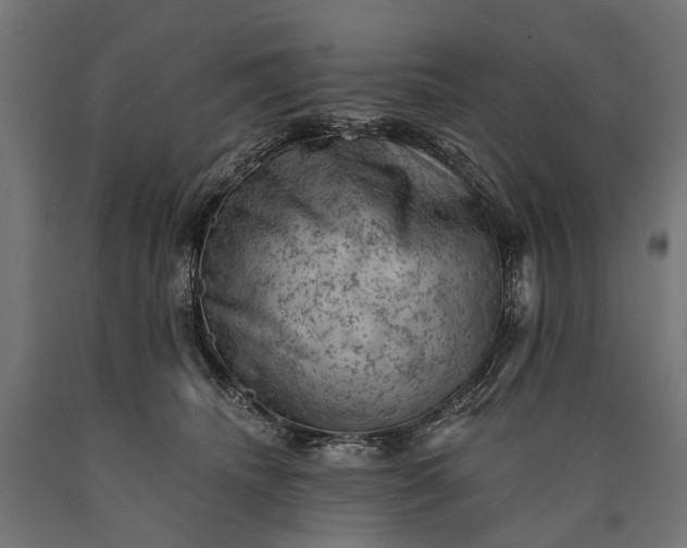 X0000090730468200708031527