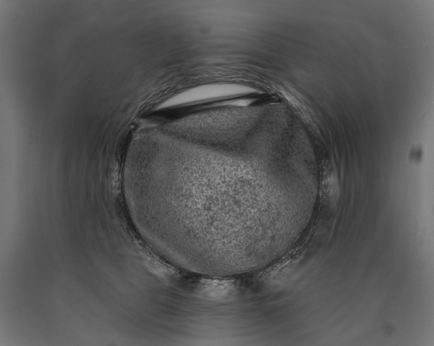 X0000090730469200708031527