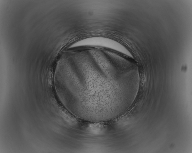 X0000090730470200708031527