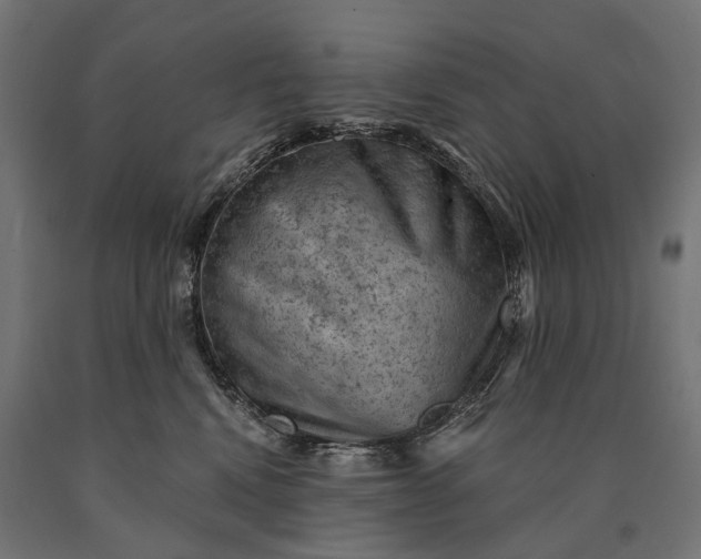 X0000090730472200708031527