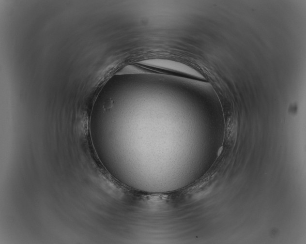 X0000090730474200708031527