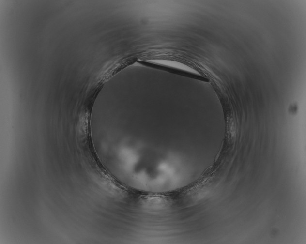 X0000090730475200708031527