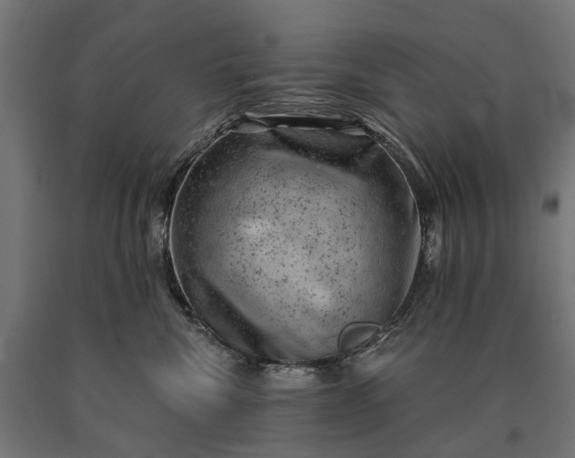 X0000090730476200708031527