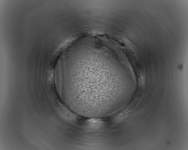 X0000090730477200708031527