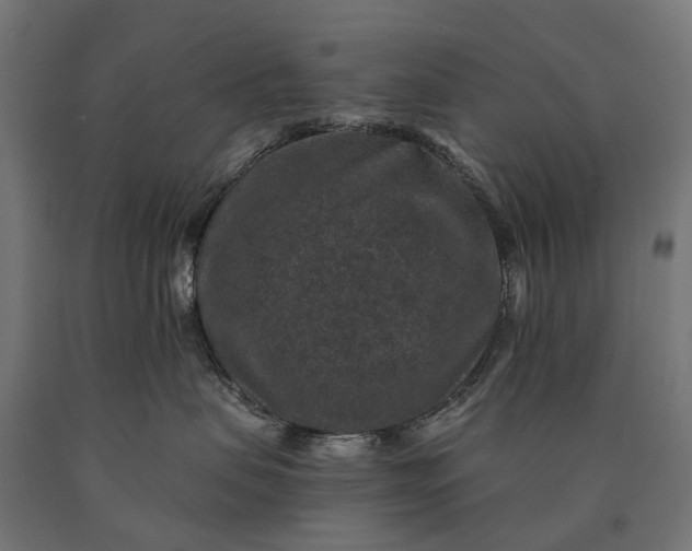 X0000090730479200708031527