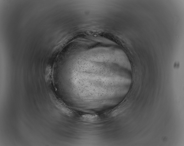 X0000090730480200708031527