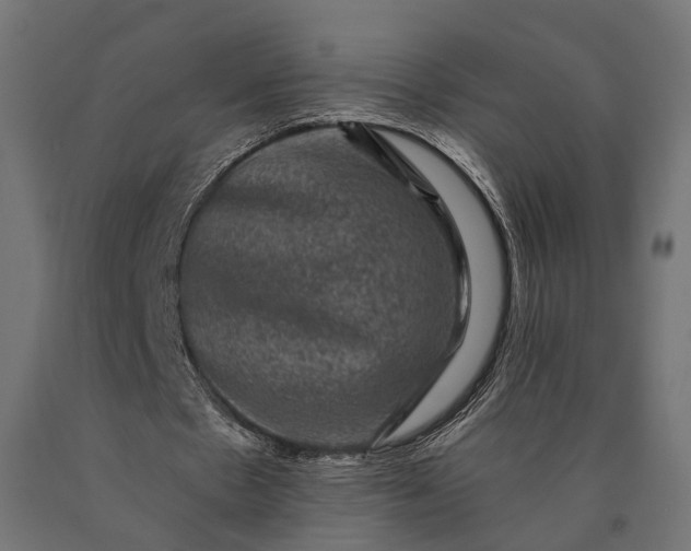 X0000090730481200708031527