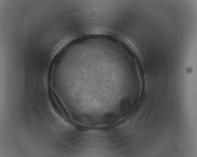 X0000090730482200708031527