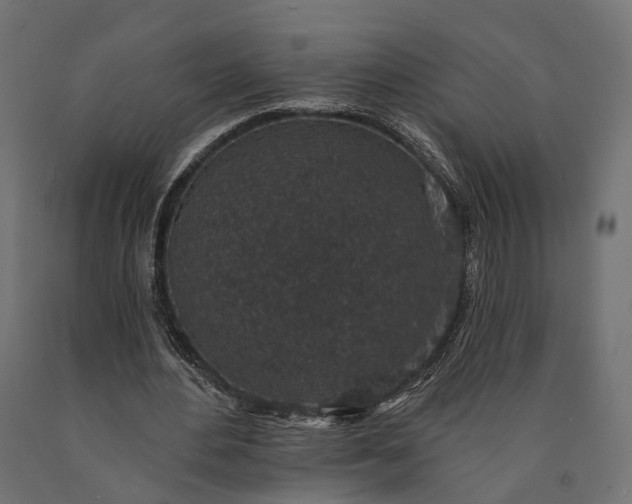 X0000090730484200708031527