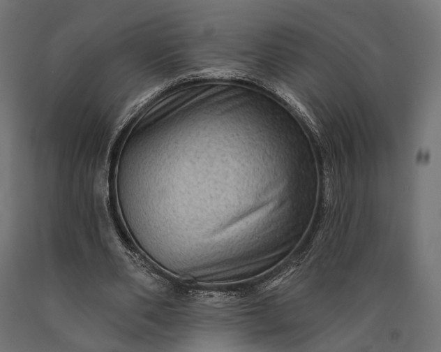 X0000090730486200708031527