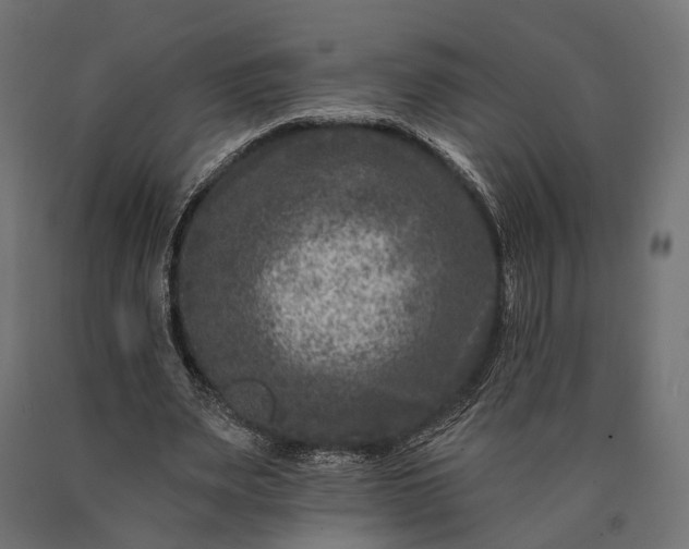 X0000090730487200708031527