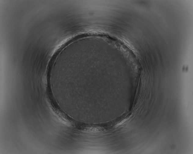 X0000090730488200708031527