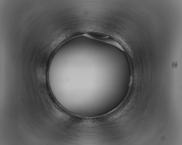 X0000090730489200708031527