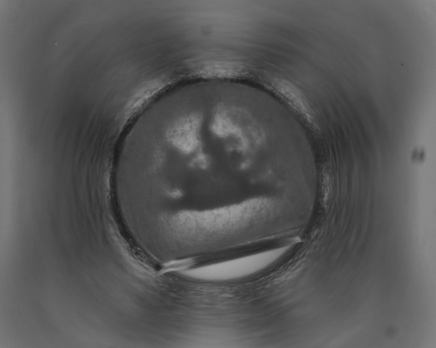 X0000090730491200708031527