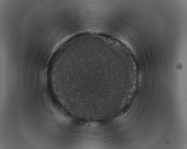 X0000090730492200708031526