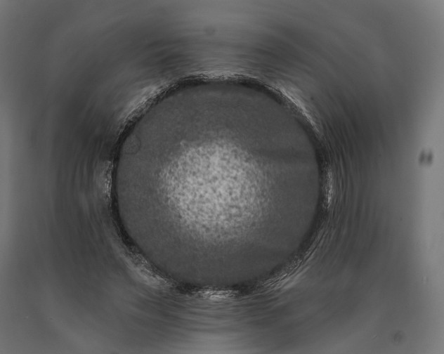 X0000090730495200708031526