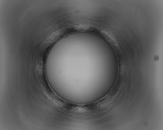 X0000090730498200708031526