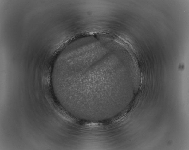 X0000090730499200708031526