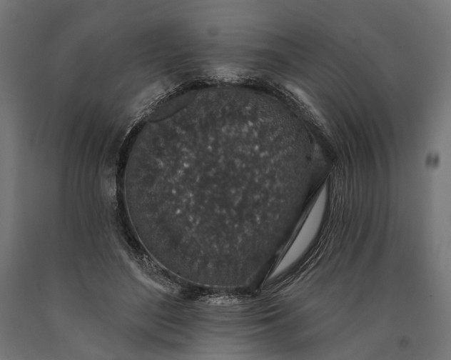 X0000090730500200708031526