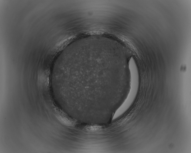 X0000090730501200708031526