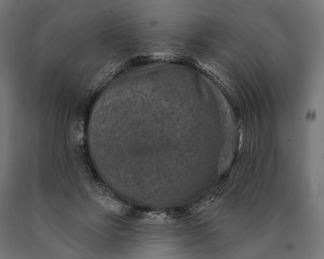 X0000090730502200708031526