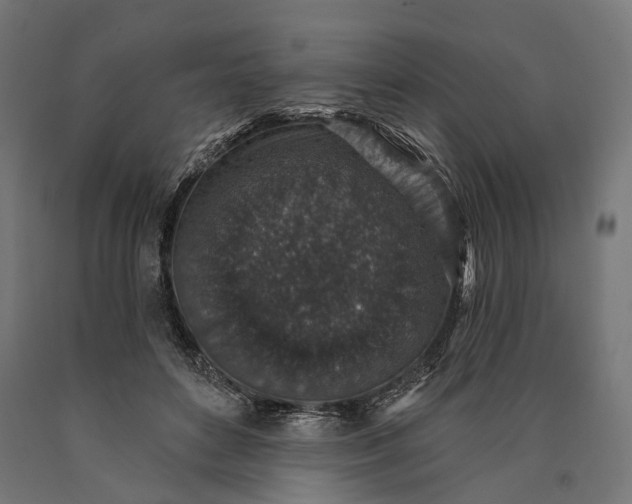 X0000090730504200708031526