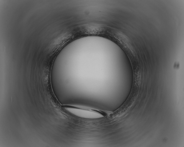 X0000090730505200708031526