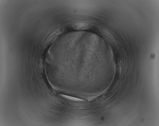 X0000090730506200708031526